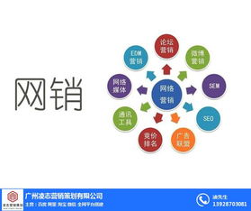 海珠區(qū)企業(yè)畫冊設(shè)計(jì)專家——凌志營銷策劃，信息系統(tǒng)集成服務(wù)優(yōu)質(zhì)商家